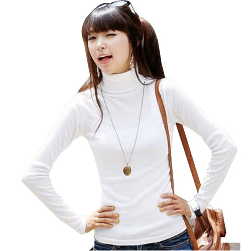 2016 Women Sweater Turtleneck Long Sleeve Knitted Basic Sweater Solid Bottoming Women Sweaters Pullovers Autumn Winter Knitwear