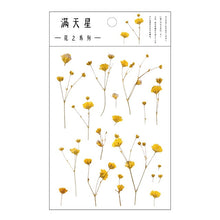 Mr.Paper 12 Designs Natural Daisy Clover Japanese Words Stickers Transparent PET Material Flowers Leaves Plants Deco Stickers